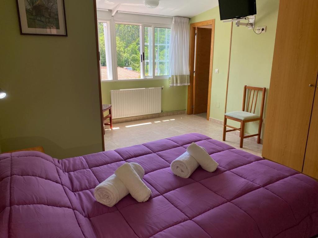 Hotel San Paio 圣地亚哥－德孔波斯特拉 外观 照片